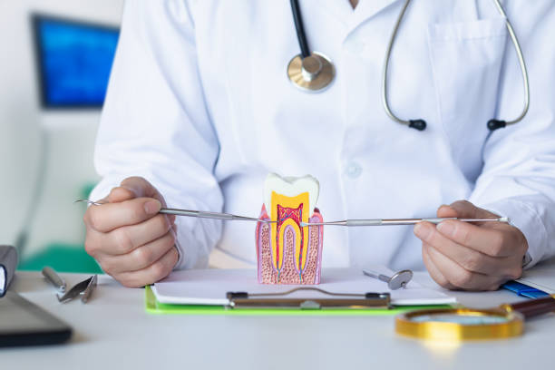 Best 24-Hour Emergency Dental Care in Oakes, ND